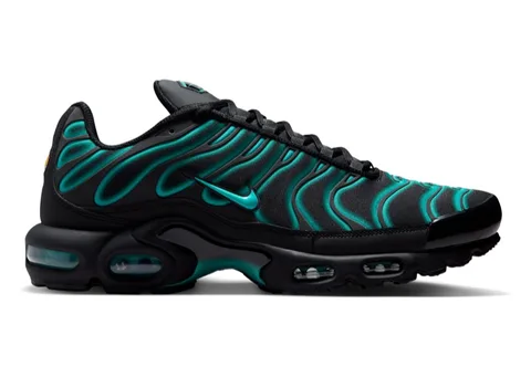 Nike Air Max Plus "BLACK"